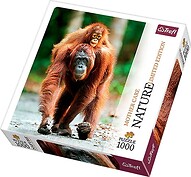 Orangutan 1000 el.