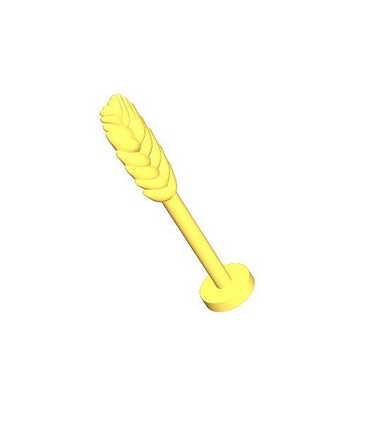 Kłos żyta - fot. 3