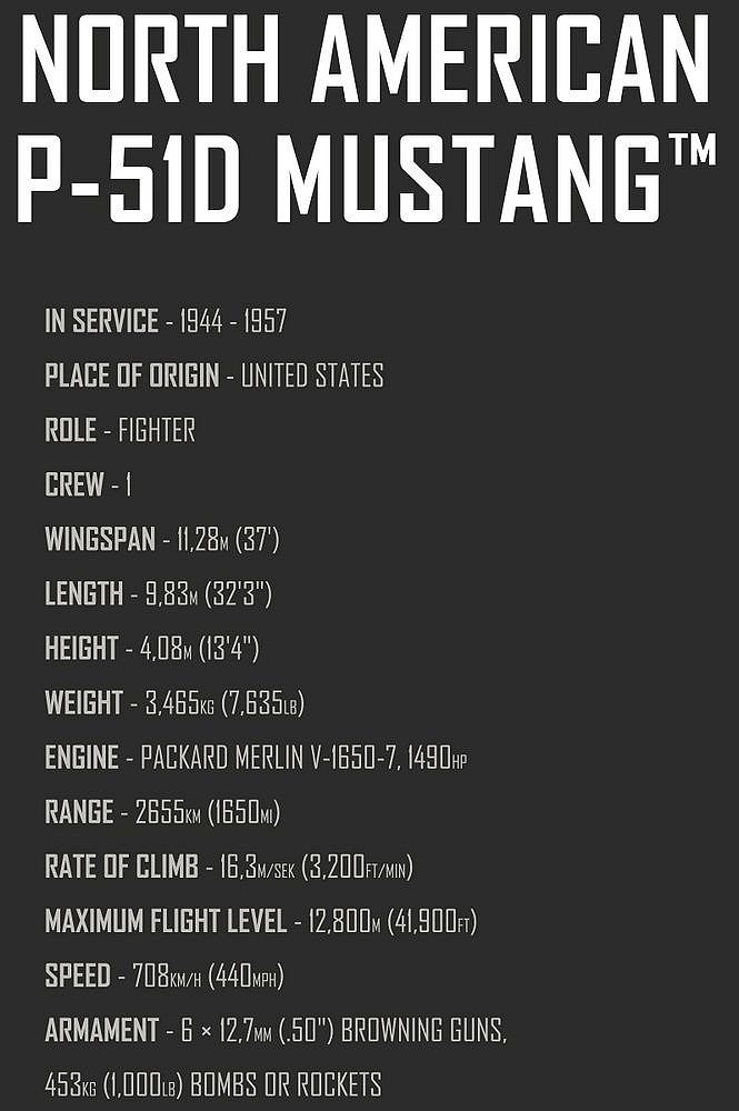 P-51D Mustang™ - fot. 4