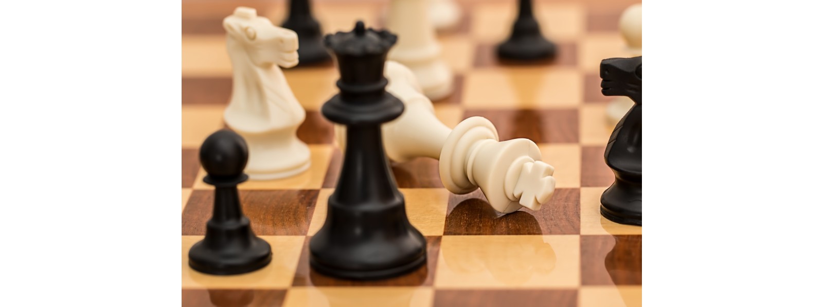 Najlepsze gry logiczne