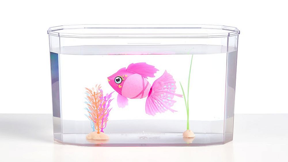 Akwarium i pływająca rybka - fot. 4