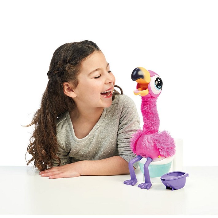 Gotta Go Flamingo - fot. 8