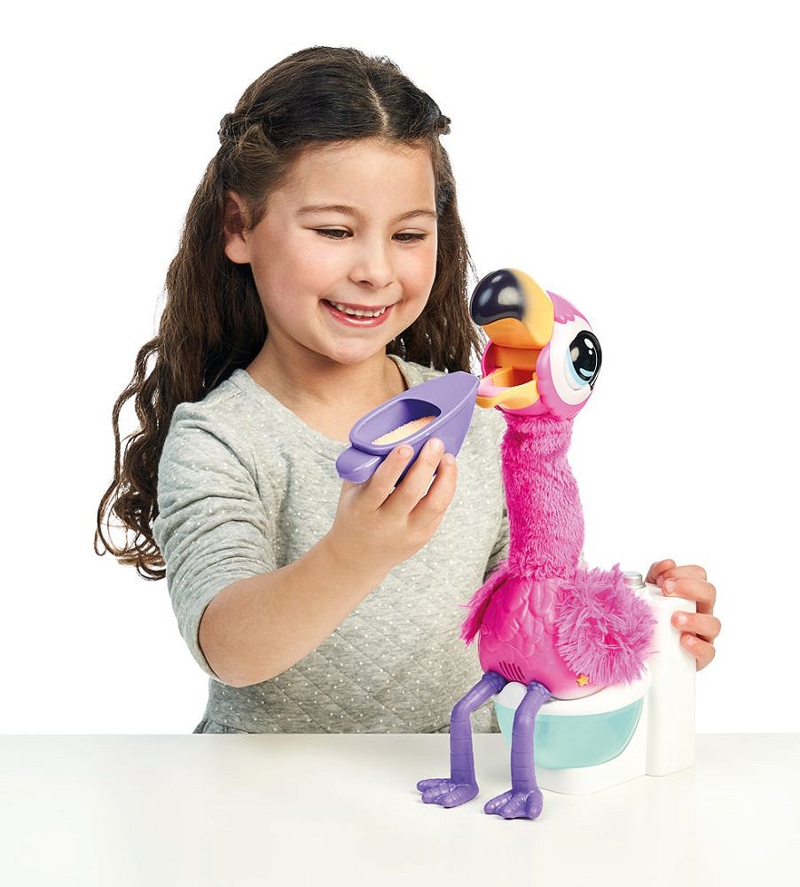 Gotta Go Flamingo - fot. 4