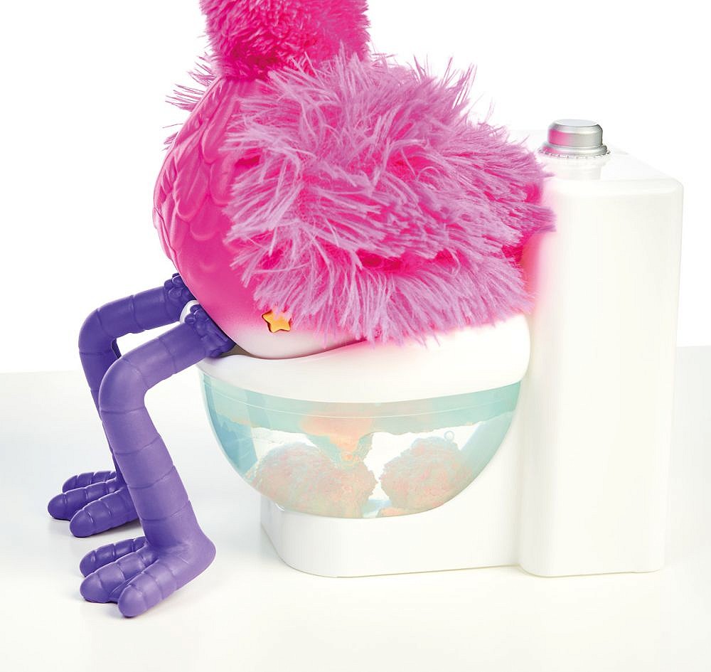 Gotta Go Flamingo - fot. 10