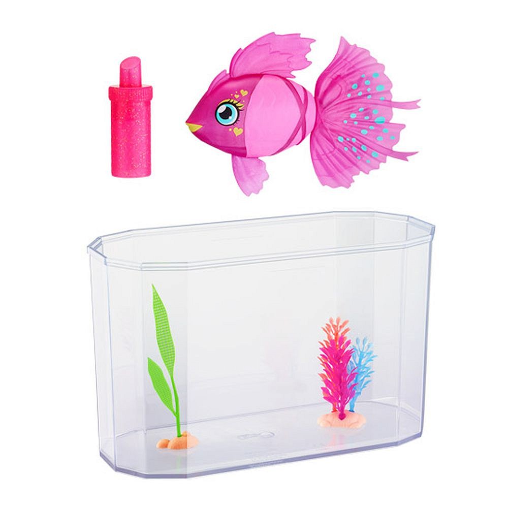 Akwarium i pływająca rybka - fot. 5