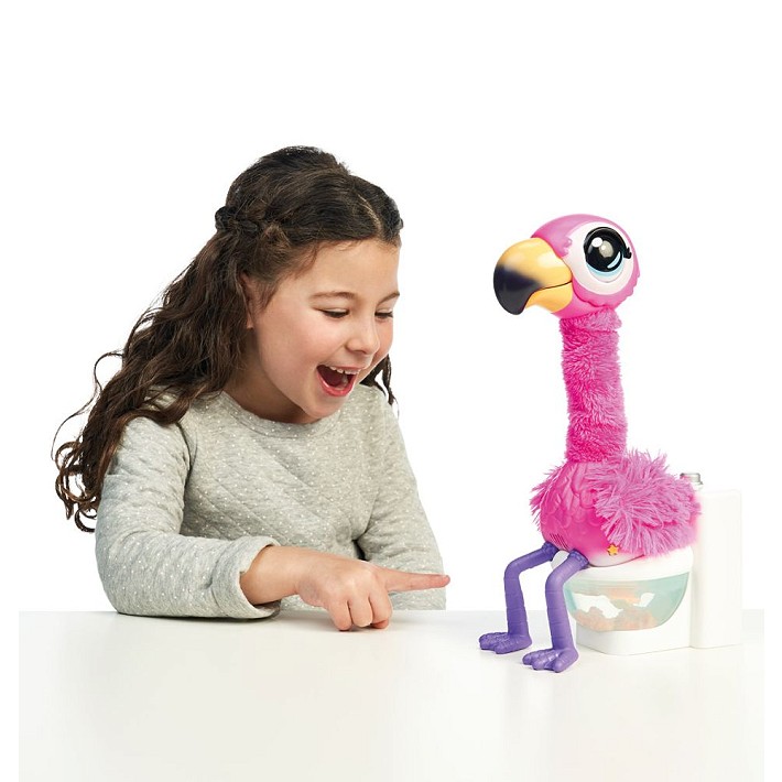 Gotta Go Flamingo - fot. 11