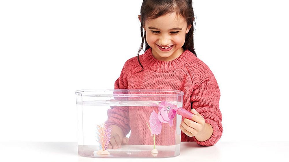 Akwarium i pływająca rybka - fot. 3