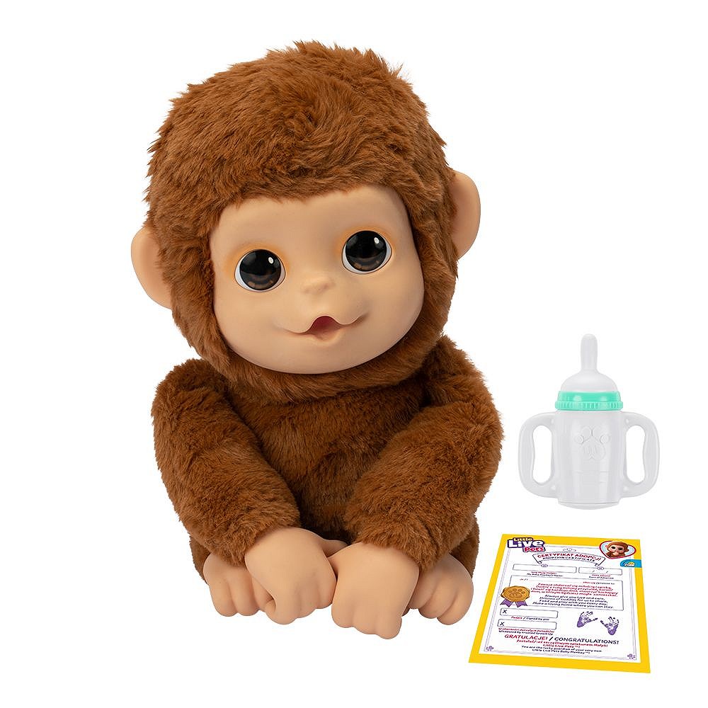 LLP Moja małpka Mango - fot. 10