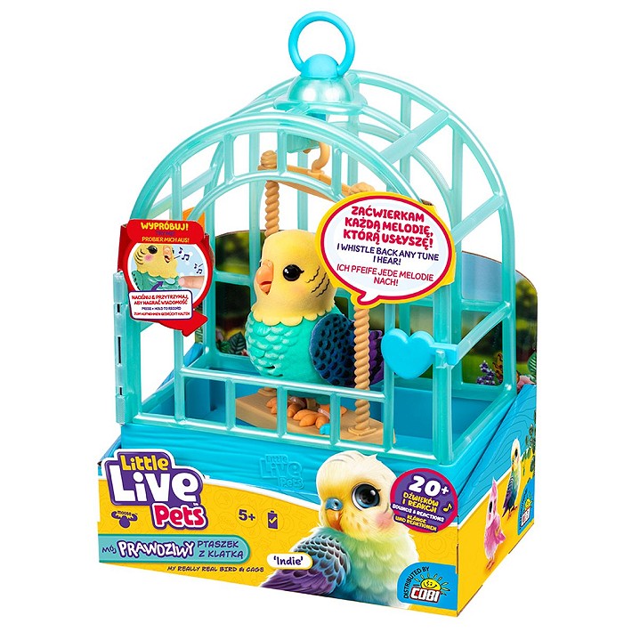 LLP Mój prawdziwy ptaszek