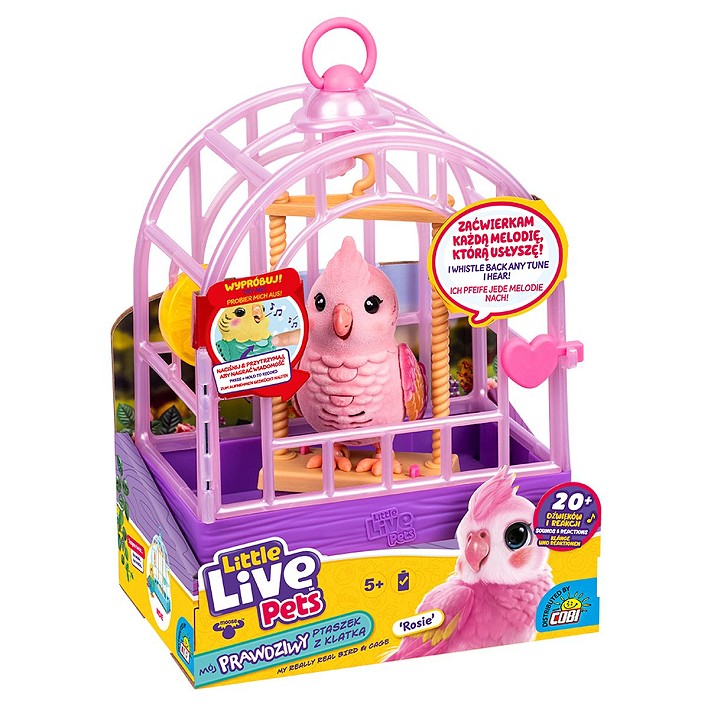 LLP Mój prawdziwy ptaszek - fot. 16