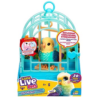 LLP Mój prawdziwy ptaszek - uszkodzone opakowanie