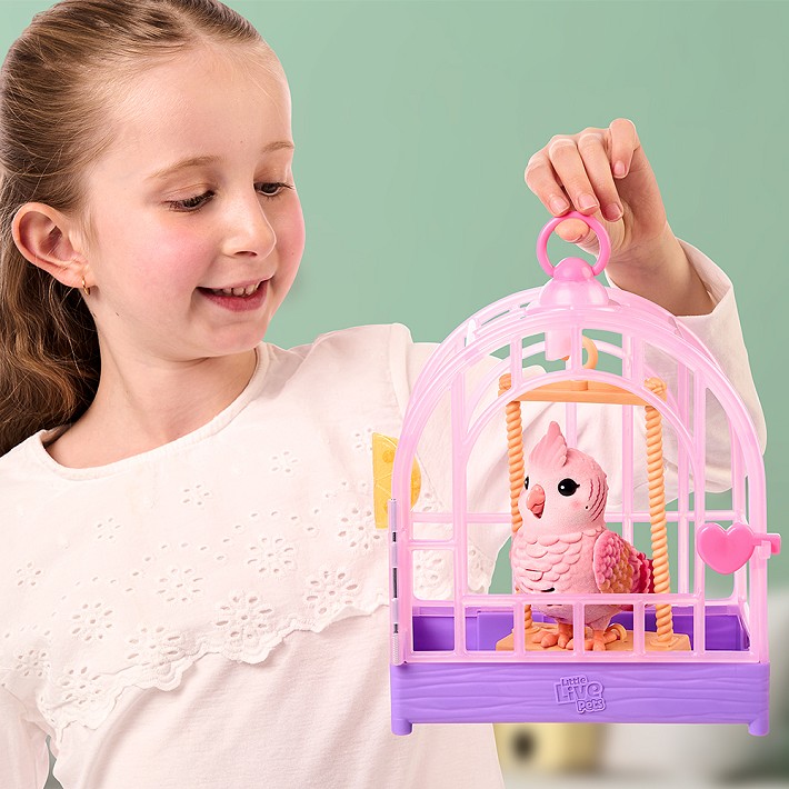 LLP Mój prawdziwy ptaszek - fot. 27