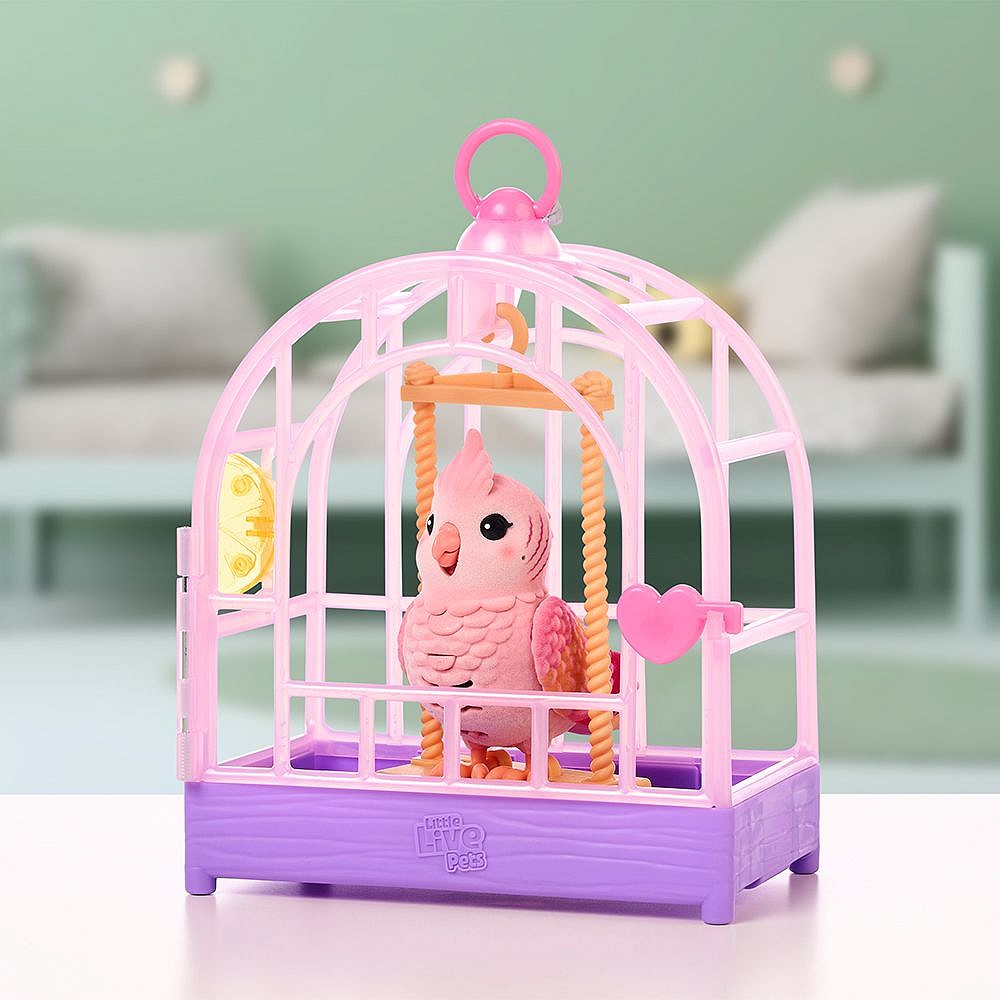 LLP Mój prawdziwy ptaszek - fot. 15