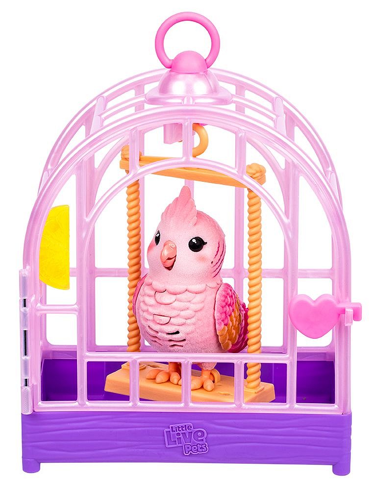 LLP Mój prawdziwy ptaszek - fot. 3