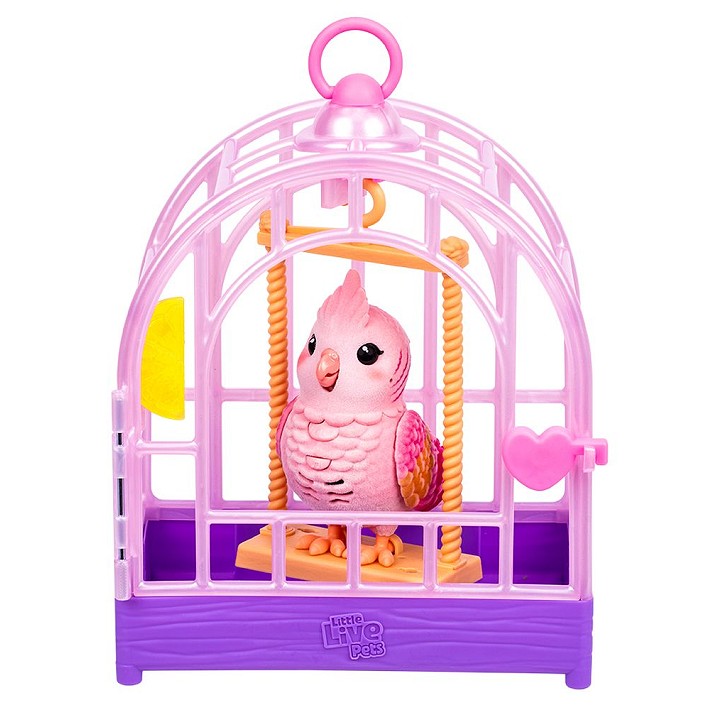 LLP Mój prawdziwy ptaszek - fot. 3