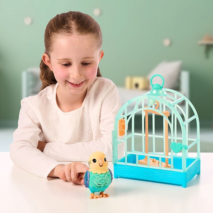 LLP Mój prawdziwy ptaszek - fot. 11