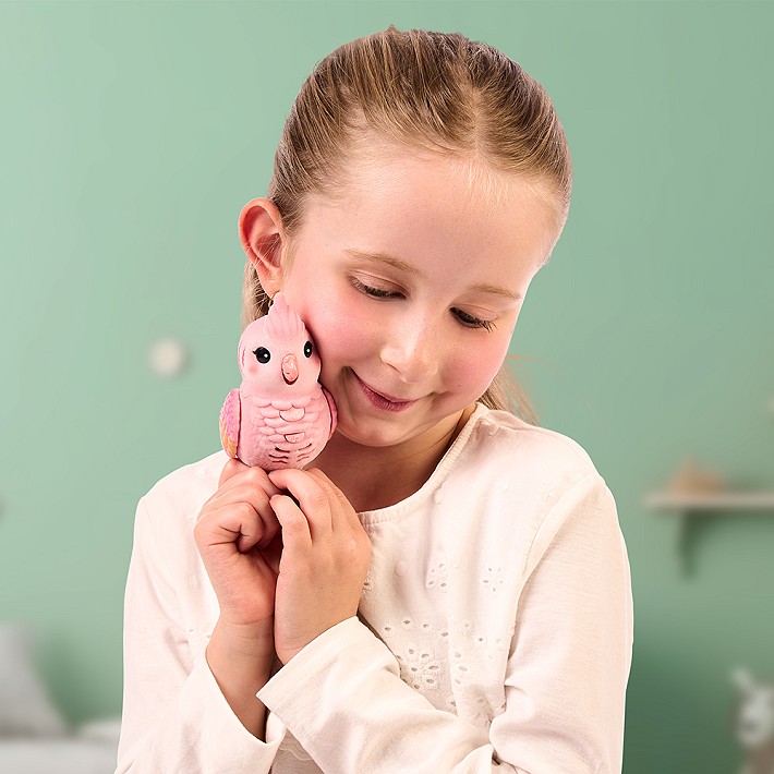 LLP Mój prawdziwy ptaszek - fot. 24