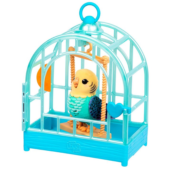 LLP Mój prawdziwy ptaszek - fot. 3