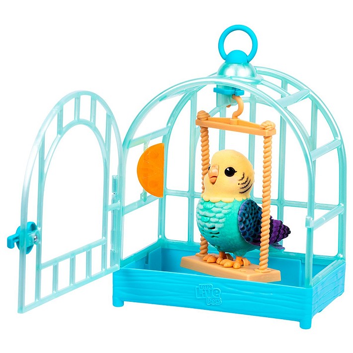 LLP Mój prawdziwy ptaszek - fot. 2