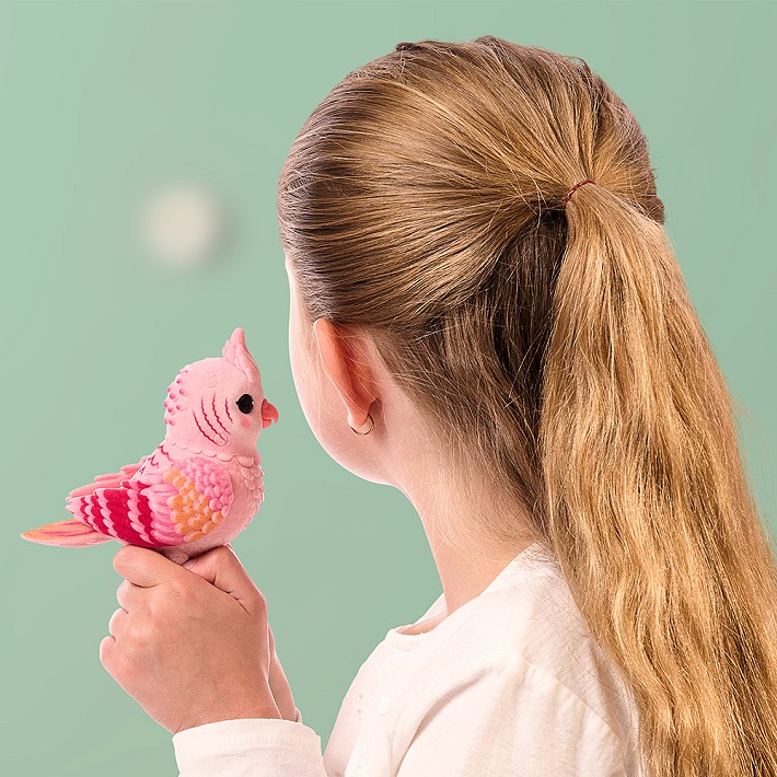 LLP Mój prawdziwy ptaszek - fot. 20