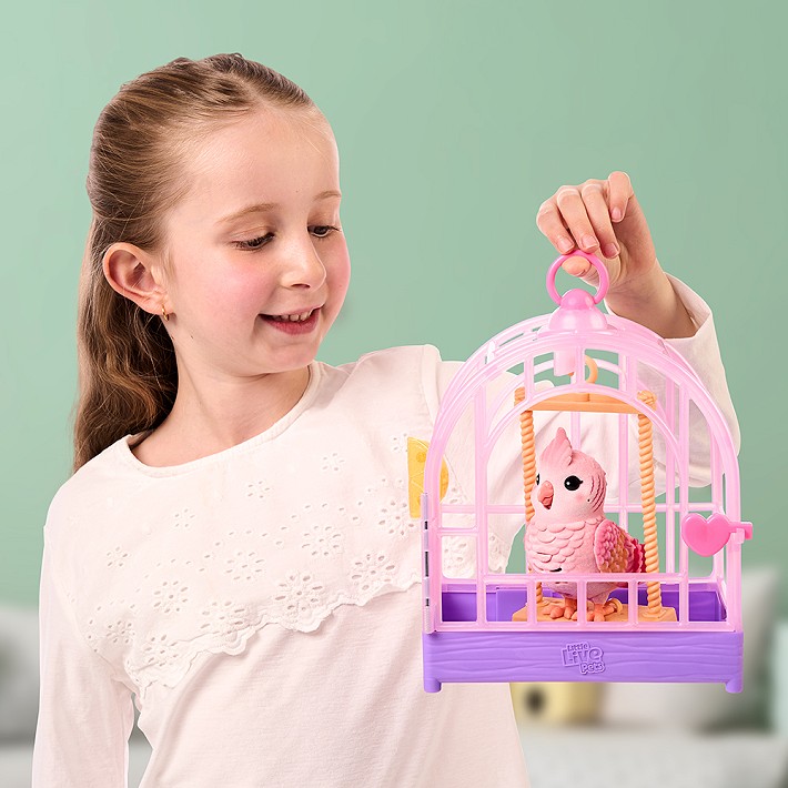 LLP Mój prawdziwy ptaszek - fot. 12