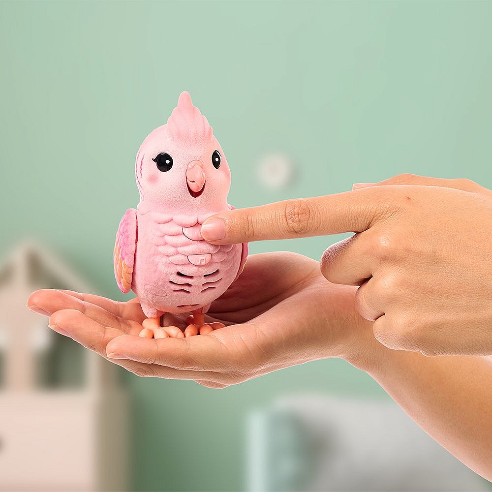 LLP Mój prawdziwy ptaszek - fot. 8