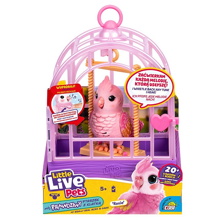 LLP Mój prawdziwy ptaszek