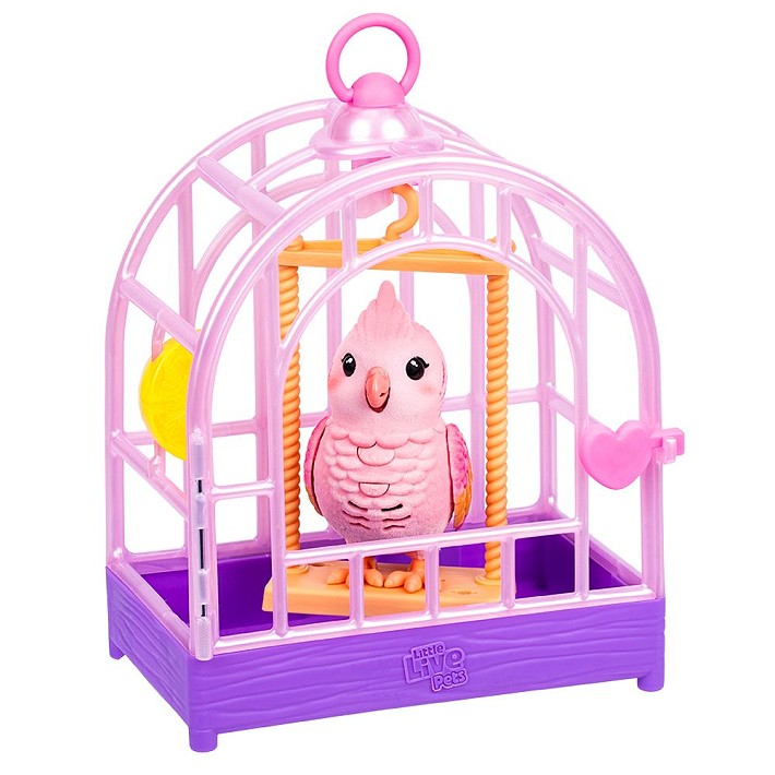 LLP Mój prawdziwy ptaszek - fot. 14