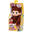 LLP Mini małpka Chikki Cher - fot. 14