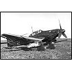 Junkers Ju-87G-2 Stuka - fot. 15